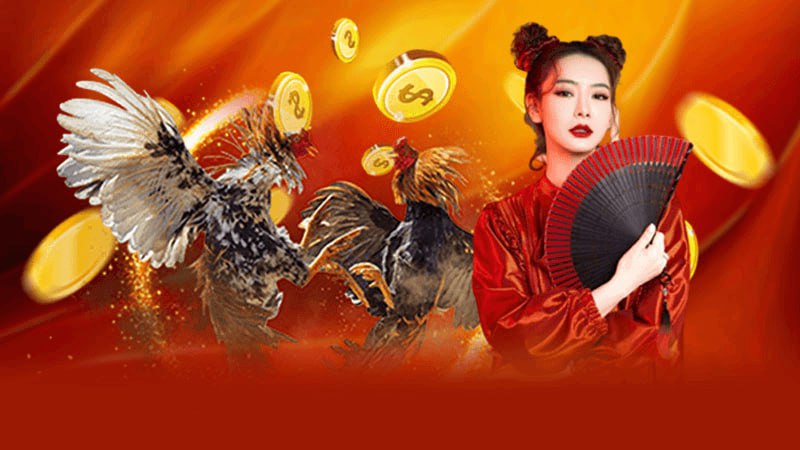Khám Phá Thế Giới Trực Tuyến Của Đá Gà SV66 - Sân Chơi Kịch Tính Cho Người Đam Mê Chiến Kê