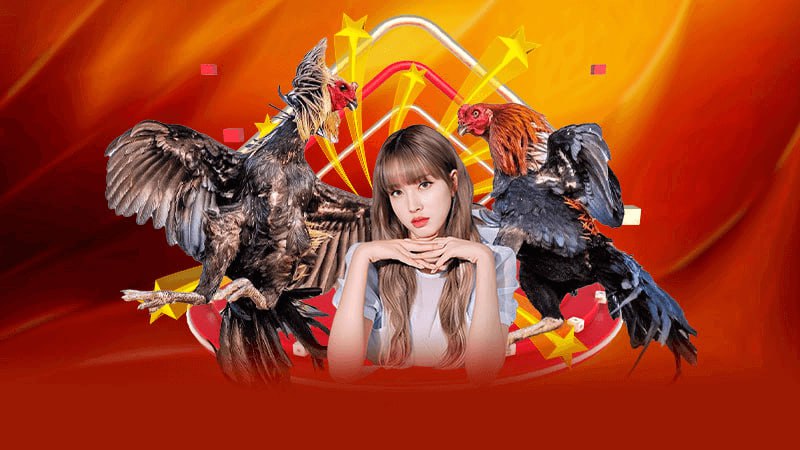 Cách Tham Gia Chơi Đá Gà Trực Tiếp C4 Tại Nhà Cái SV66 - Bước Đầu Để Trở Thành Người Chiến Thắng