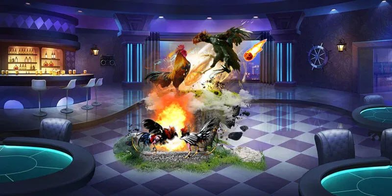 Chi tiết về đá gà cựa dao 88 – Trận đấu đặc sắc, hấp dẫn không thể bỏ lỡ
