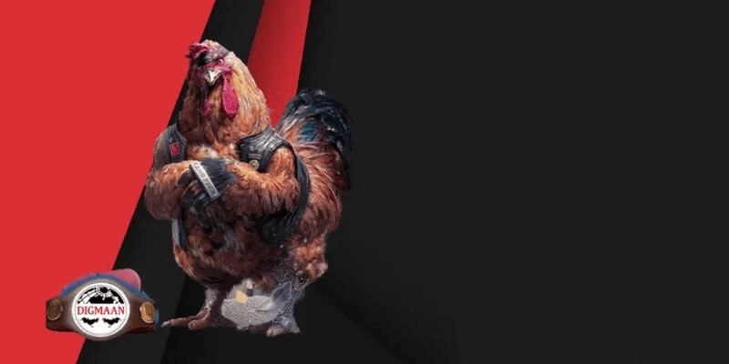 Những Điểm Nổi Bật Của Trải Nghiệm Đá Gà Thomo Tại SV66