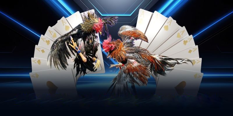 Lợi Ích Của Việc Đá Gà Trực Tiếp Tại Nhà Cái SV66